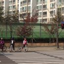 화원자연휴양림 이미지