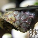 고릴라 회 포차 네이버블로그