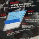 주식회사 펫더맨 이미지