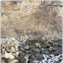 더숲852 | 양평 더숲852펜션 숲속에서 쉬다 온 독채펜션 후기