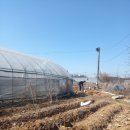 해뜬농장 이미지