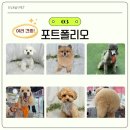 인재중심학원
