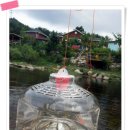쉴만한물가펜션 | [공지] 강릉 힐링 여행, 연곡 쉴만한물가펜션에서 보내는 완벽한 하루!
