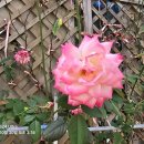 새성남교회(1층) 이미지