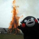 메종드콩티