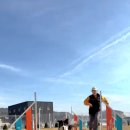 워킹앤워킹 애견유치원&애견호텔 이미지