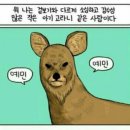 야밤 이미지