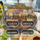 꿈꾸는 쉐프 | 반월당요리학원 후기 - 쉐프가 꿈인 아들, 여기서 준비했어요