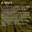 하이풀 스포츠 이미지