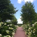 지리산밸리 이미지