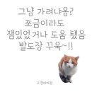엑스날XNAL명동