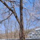 꽃잎어린이집 이미지