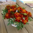 샘말 농장 이미지