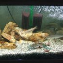 민물나라 이미지