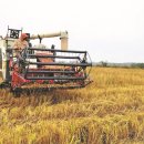 진광농장 이미지