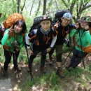 위대한 청춘 이미지