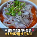 일품오징어 | 속초물회 어디서 먹지? 속초항아리물회 오징어물회 후기 (가격·주차·웨이팅)