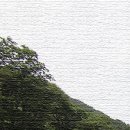 덕적식당민박 이미지