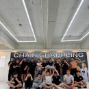 체인 그래플링 | 원리부터 다른 체인 그래플링 생생 후기