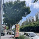 뚝배기해장촌 | [군산] 내돈내산 군산맛집 뚝배기해장촌 후기(+주차,영업시간, 메뉴판, 가격, 군산현지인맛집)