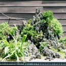 방림원 이미지