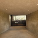 어디카페 | 호암미술관 카페 어디? 메타세쿼이아 숲 속 ‘호암카페’ 솔직 후기