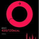 후포 비소 제11호 | 절거웠던 속초 여행