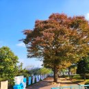 망향의동산 화장실 이미지