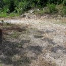 앙성면사무소 이미지