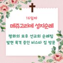 평화의 모후 선교회 이미지
