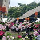 안덕면사무소 앞 이미지