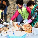 [다시! 제주문화] (35) &#34;돼지 먹으면 부정 탄다고?&#34;..&#39;돗고기 부정&#39; 이유는! 이미지