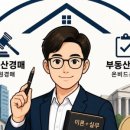코라법률교육원 네이버블로그