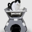 고양이 놀이터 이미지