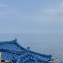 세븐일레븐 정동진해변점 | [국내/묵호당일치기] 무계획이었지만 성공적이었던 묵호여행🩵✨🧚🏻‍♂️