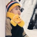 우진 이미지