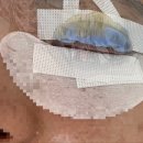 (주)텐이얼즈애프터 | 제일 잘 말아 주시는 사장님이 계신 곳은 어디?'뷰티텐 진주점! 속눈썹뿐만 아니라 피부관리, 왁싱...