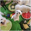 엄마 잘 다녀와 이미지