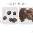 신대방요양보호사교육원 네이버블로그