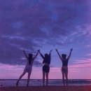 비빔밥게스트하우스