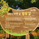 우로지 자연숲 황토길 이미지