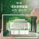 숲길법인 이미지