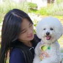 오늘도, 멍멍 이미지