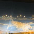 오피스야호 | 발리 렘봉안섬 이동 방법 | 누사페니다 만타다이빙 | LDD 다이빙샵 내돈내산 리얼 후기