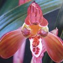 자산동244 이미지