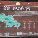 블루오션펜션 - 속초시 중앙로416번길 1 | 블루오션펜션