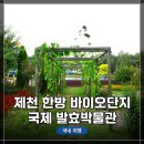 제천국제발효박물관 | 충북 제천여행 코스! 한방 바이오단지, 국제 발효박물관 방문 및 탐방기