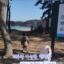 구름포해변캠핑장 이미지