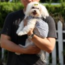 베라데로 이미지