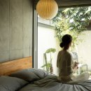 삼박한집 이미지